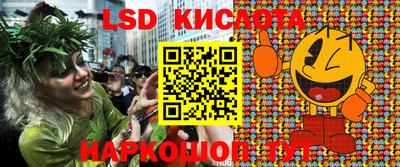 крисы Новозыбков