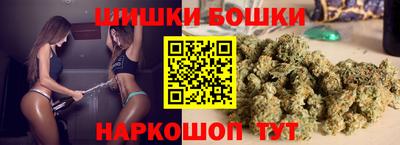 крисы Новозыбков
