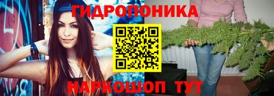 а пвп мука Новодвинск