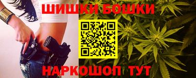крисы Новозыбков